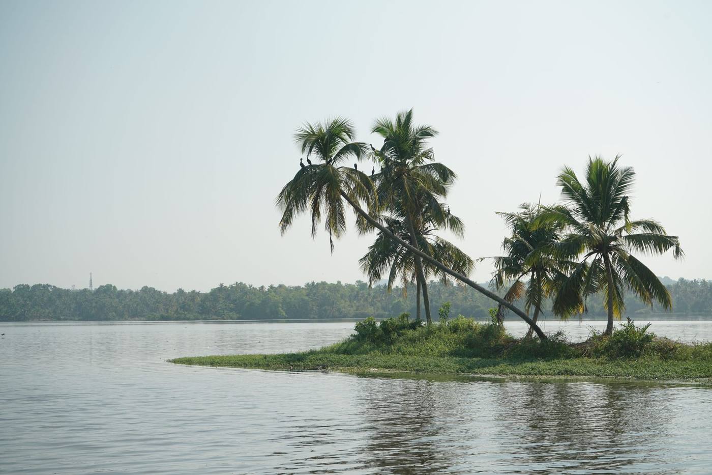 Aerial view of Kerala's backwater canal network