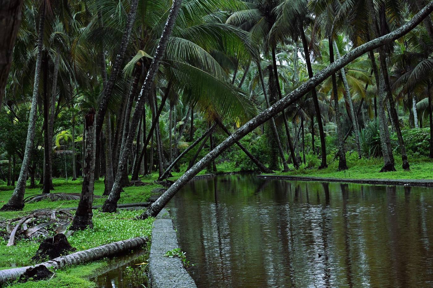 Aerial view of Kerala's coastline